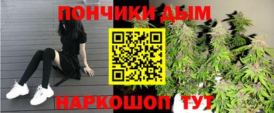 спиды Гай