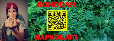 кокаин Гатчина