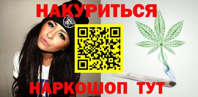 спиды Гай