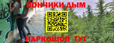 спиды Гай