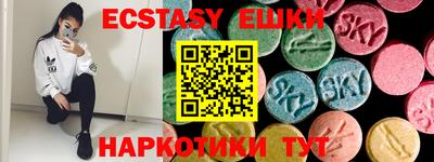 спиды Гай
