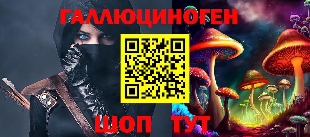 Галлюциногенные грибы Psilocybe Назарово